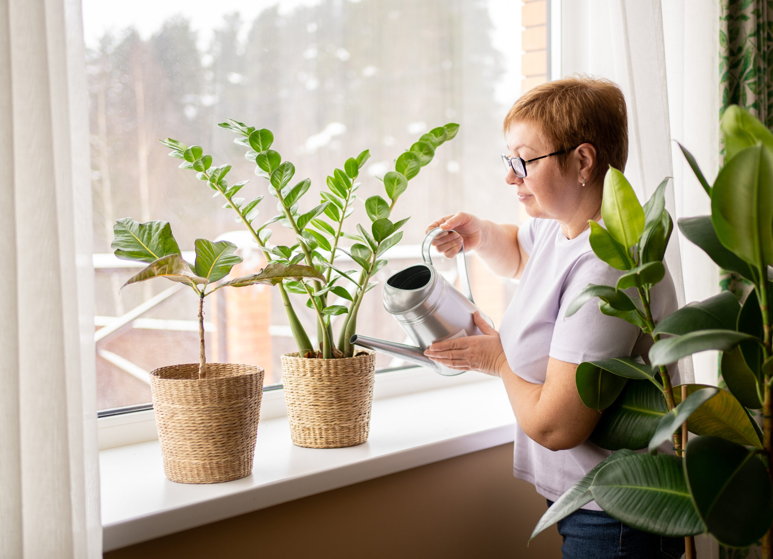 Nainen kastelee huonekasvia
